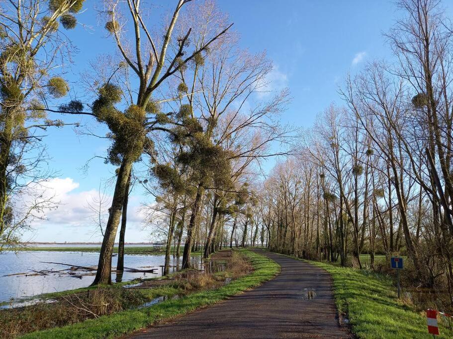 Lac Grand Lieu : Maisonnette Au Calme Avec Jardin Saint-Lumine-de-Coutais Esterno foto
