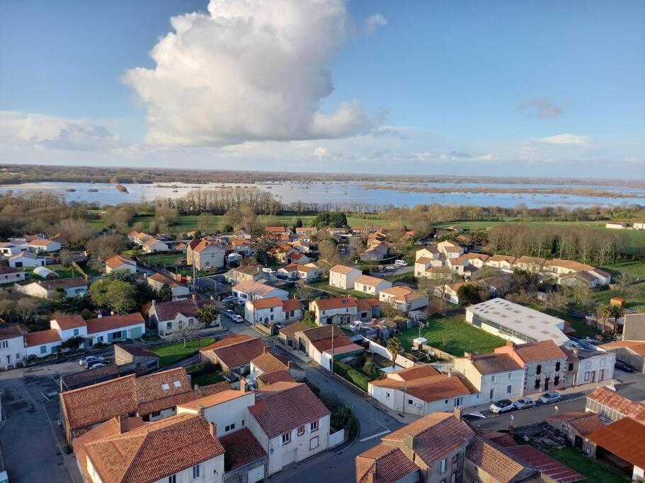 Lac Grand Lieu : Maisonnette Au Calme Avec Jardin Saint-Lumine-de-Coutais Esterno foto